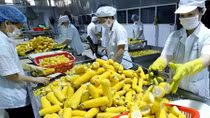 Mở rộng thị trường cho nông sản chế biến sâu