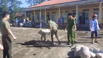 Nhiều hoạt động tình nghĩa nhân Ngày Thương binh liệt sỹ ở Thanh Hoá