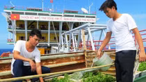 Tết “Tây” ở cột mốc chủ quyền trên biển