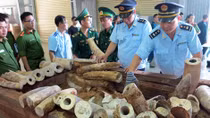 Chống buôn lậu qua cảng Đà Nẵng