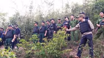 Cuộc truy lùng trùm ma túy trên đỉnh Pù Lôm