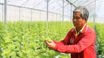 Tập trung phát triển thế mạnh của địa phương