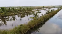 Để hài hòa giữa hai dòng mặn - ngọt