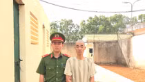 Bắt thêm đối tượng trong vụ hủy hoại rừng thông phòng hộ cảnh quan QL14