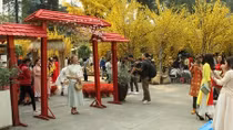 Lan tỏa văn hóa Việt tại Lễ hội Tết Việt