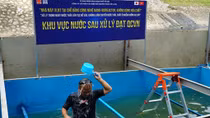 Lời qua, tiếng lại xung quanh chuyện làm sạch sông Tô Lịch