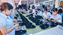 Phải xem xét toàn diện việc nâng tuổi nghỉ hưu