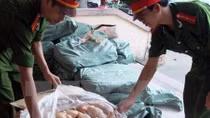 Ôtô khách chở 450kg thịt gà đông lạnh bốc mùi hôi thối