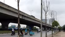 Công ty Cây cảnh Nam Điền sẽ bị “cấm cửa” với các dự án trồng cây xanh của Hà Nội