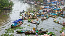 Mối nguy ô nhiễm đe dọa sông Cửu Long