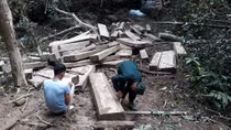 Vụ bãi tập kết gỗ gần trạm bảo vệ rừng: Tìm thấy 73 gốc cây 