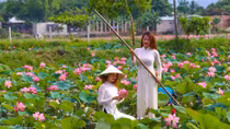 Đẹp xao xuyến mùa sen Đà thành dưới ống kính của giới trẻ