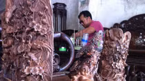 Những độc chiêu lạ của giới săn gỗ sưa
