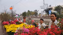 Chợ hoa Tết trên đất Tây Đô