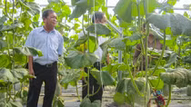 Để sản phẩm VietGAP gần hơn với người tiêu dùng