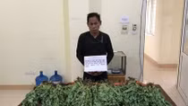 Trồng 588 cây thuốc phiện để thỏa mãn cơn nghiện