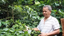Cựu chiến binh Vân Kiều hết lòng vì dân bản
