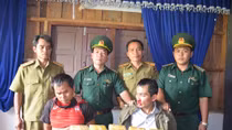 Đánh án ma túy trên đường 15