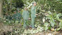 Cộng đồng góp sức, rừng ở Vườn quốc gia Bù Gia Mập được bảo vệ hiệu quả