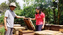 Cần liên kết tìm đầu ra cho sữa ong