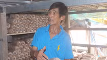Tỷ phú nhờ trồng nấm bào ngư