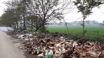 Kinh hoàng con đường xương cốt trâu, bò
