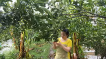 Sản xuất sạch là trách nhiệm chứ không phải “làm giá”
