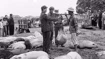 Vui buồn chuyện... nuôi lợn thời bao cấp