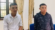 Biến lúa thành "hoa ly" để ăn chênh lệch hơn 1 tỷ đồng