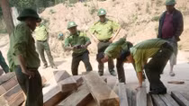 Xử lý nghiêm vụ phá rừng thuộc Vườn quốc gia Phong Nha Kẻ Bàng