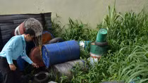 Lãnh đạo địa phương chịu trách nhiệm nếu khống chế kém dịch sốt xuất huyết