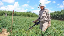 Cuộc chiến đầy máu và nước mắt của những cô gái tuổi đôi mươi - Kỳ 2