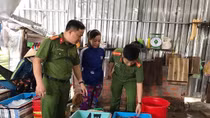 Phát hiện nhiều vụ bơm tạp chất vào tôm nguyên liệu