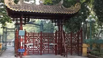 Hỗ trợ 12 địa phương khắc phục thiệt hại do bão, lũ