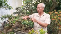 Người chế lá cờ sắt trên đảo Song Tử Tây