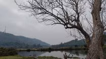 Du khảo đồi Lai Li Lai Láng
