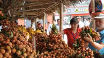 Giá vải thiều Bắc Giang lên đến 35000đ/kg