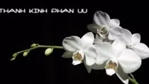 Lời chia buồn