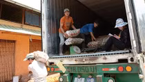 Nông dân trước nỗi lo nông sản Trung Quốc “đội lốt” Đà Lạt