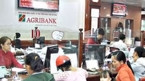 Agribank là nhà tài trợ kim cương tại Diễn đàn kinh tế Việt Nam