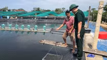 Những người nông dân làm giàu từ nuôi tôm trên cát