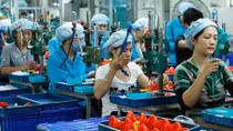 93% doanh nghiệp sẽ được giảm thuế thu nhập doanh nghiệp năm 2020