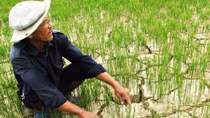 Mùa bão 2017 sẽ đến sớm hơn trung bình nhiều năm