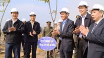 Chủ tịch nước Trần Đại Quang phát động Tết trồng cây “Đời đời nhớ ơn Bác Hồ”