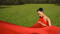 Chỉ là tràm mà cũng lung linh thế à !