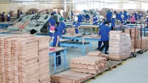 Hỗ trợ ngành gỗ tận dụng tốt ưu đãi khi xuất khẩu vào EU