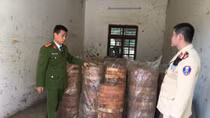 Thu giữ hơn 1000 chiếc thớt gỗ không có giấy tờ