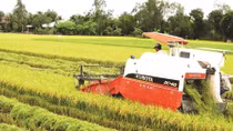Làm nông nghiệp thời… 4.0