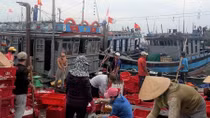 Vươn khơi xa góp phần bảo vệ chủ quyền
