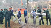 Góp phần thực hiện trồng mới 1 tỷ cây xanh